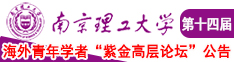 啪啪狂草骚比南京理工大学第十四届海外青年学者紫金论坛诚邀海内外英才！